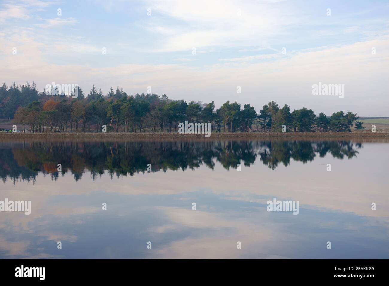 Grenaille moyenne d'arbres conifères d'automne reflétée dans l'eau calme Banque D'Images