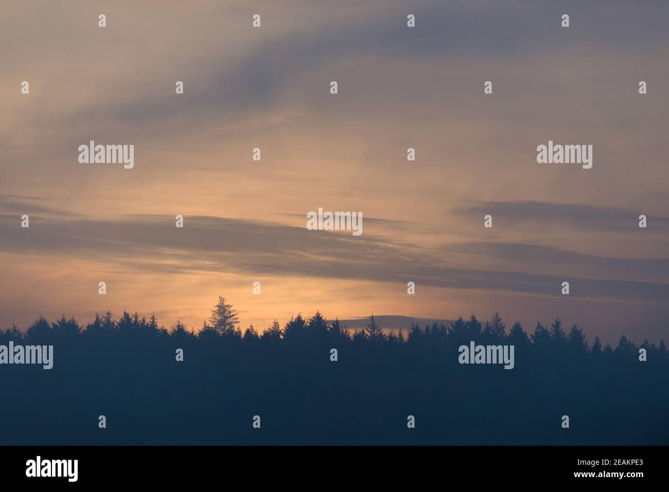 Plus d'espace de copie de ciel, couleurs pastel crépuscule après coucher de soleil derrière une forêt Banque D'Images