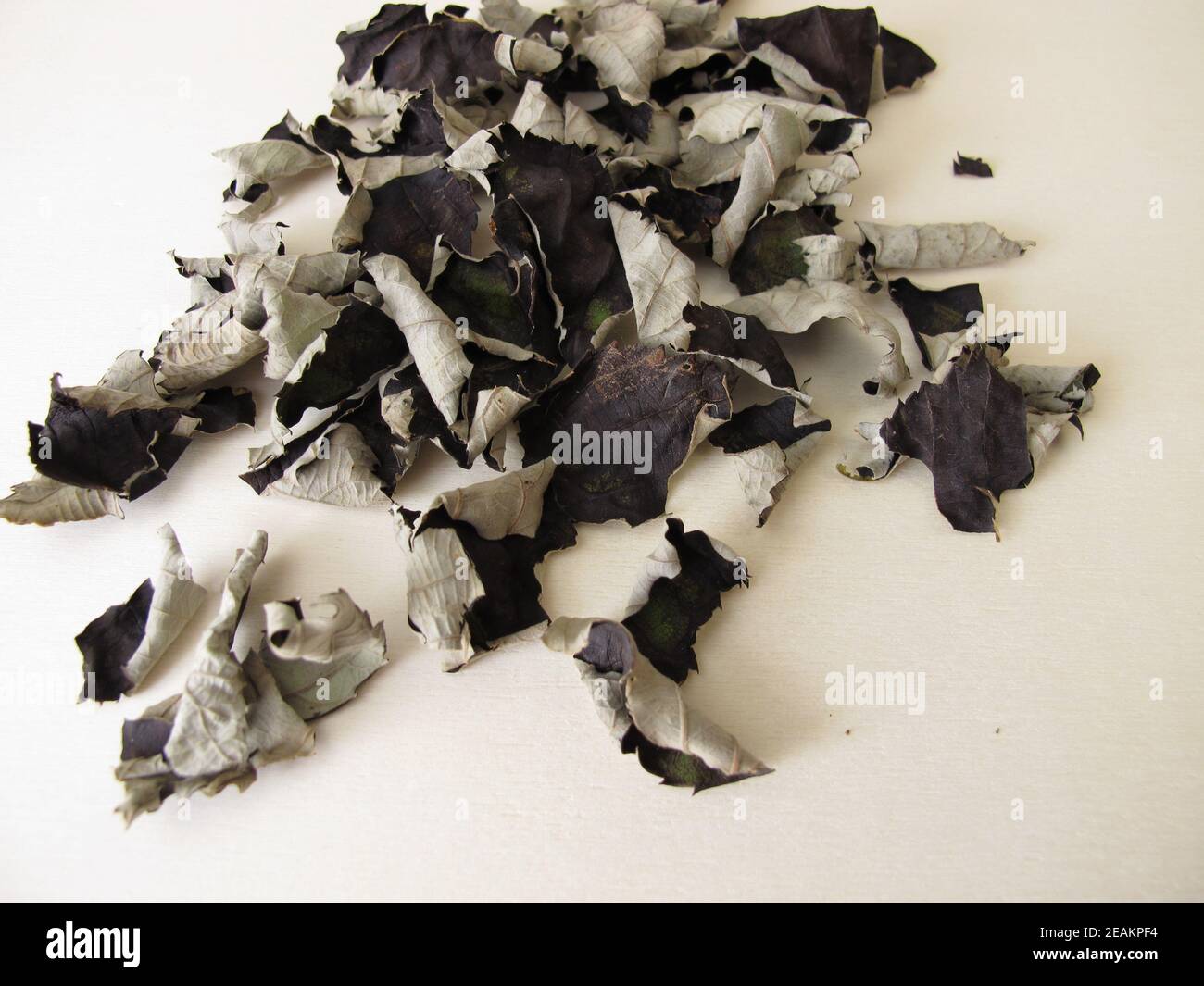 Feuilles de mûres fermentées et séchées pour le thé noir sans caféine sur une planche en bois Banque D'Images