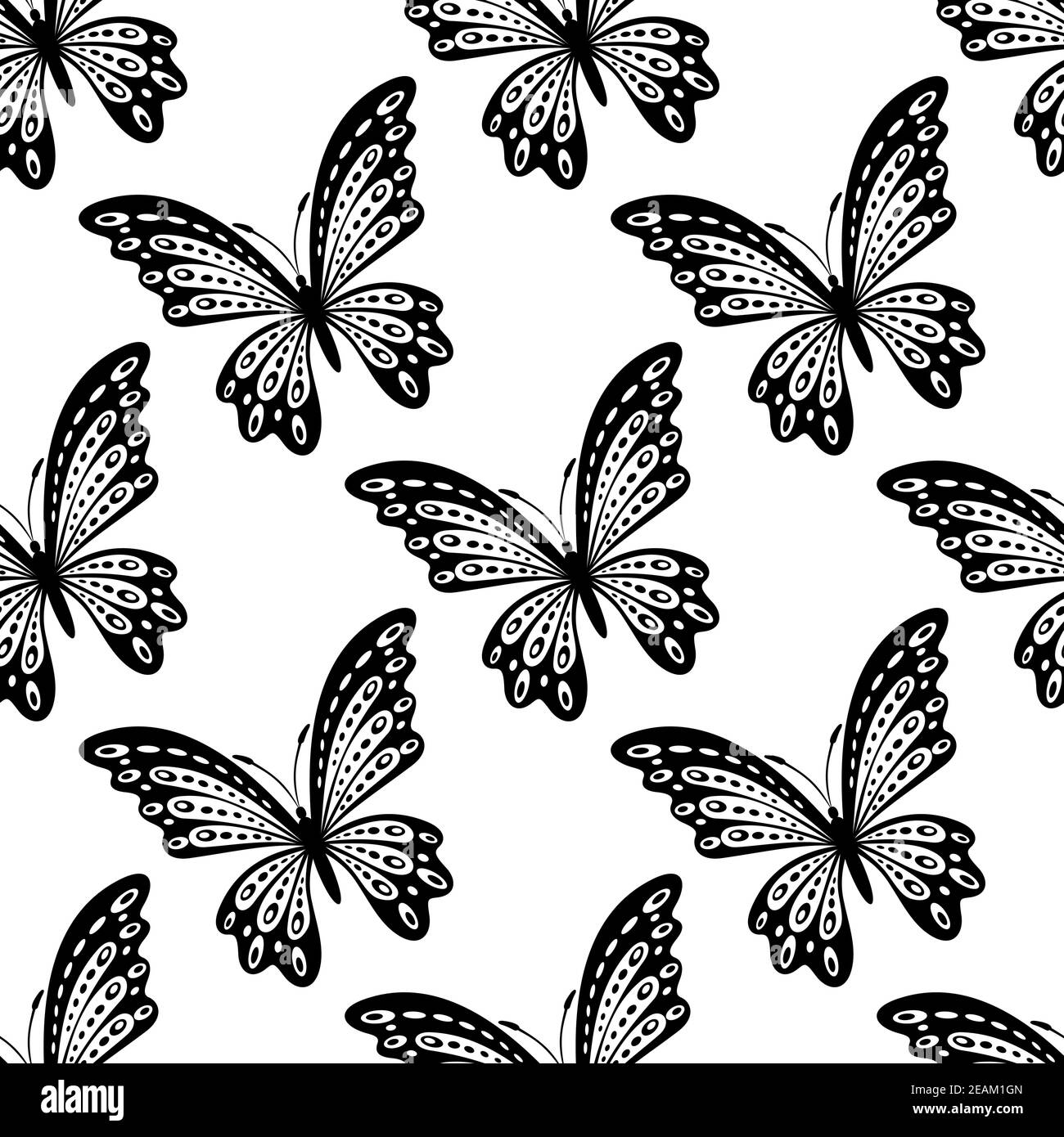 Motif noir et blanc sans couture de magnifiques papillons volants avec ailes en forme de carré pour papier peint et tissu conception Illustration de Vecteur Motif noir et blanc sans couture de magnifiques papillons volants avec ailes en forme de carré pour papier peint et tissu conception Illustration de Vecteur