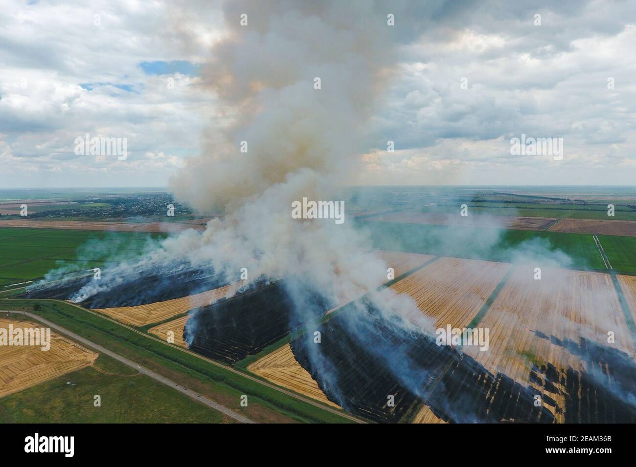 La combustion de la paille dans les champs de blé après la récolte Banque D'Images