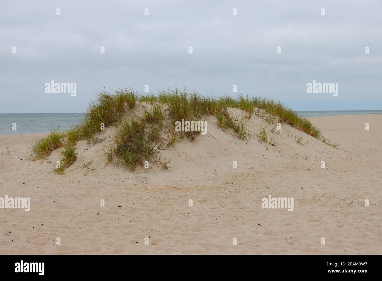 Petite dune sur les rives de la mer Baltique. Banque D'Images