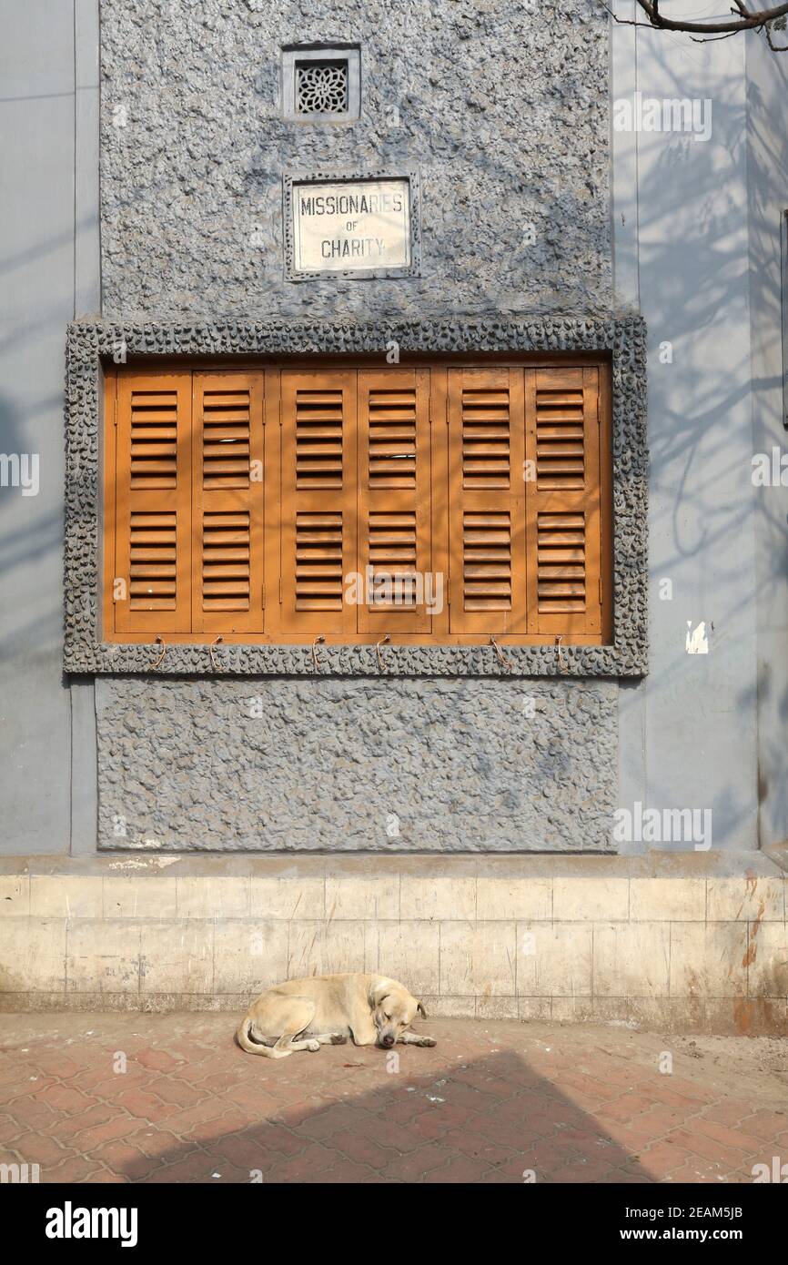 Windows de la Maison mère, Missionnaires des sœurs de la Charité de mère Teresa de Calcutta à Kolkata, Bengale occidental, Inde Banque D'Images