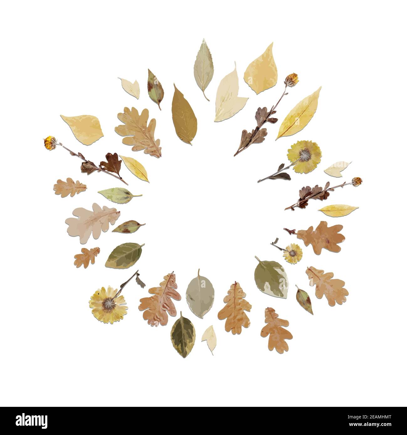 cadre rond ou couronne en feuilles d'automne réalistes. Automne automne feuille chute Banque D'Images