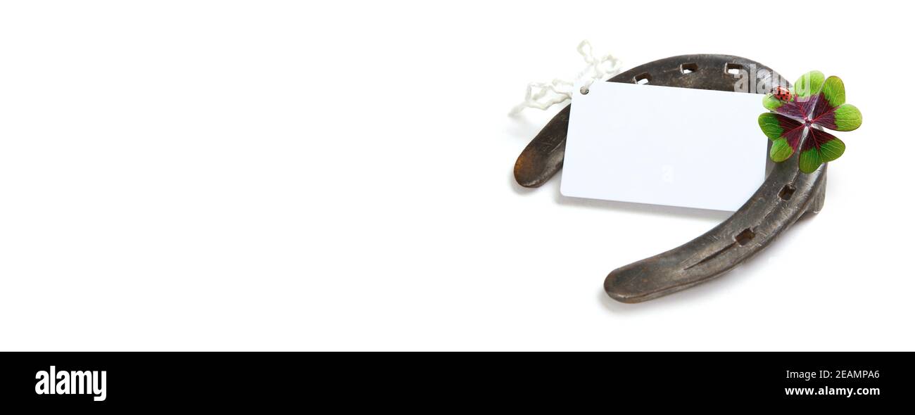 Fer à cheval avec trèfle chanceux sur fond blanc Banque D'Images