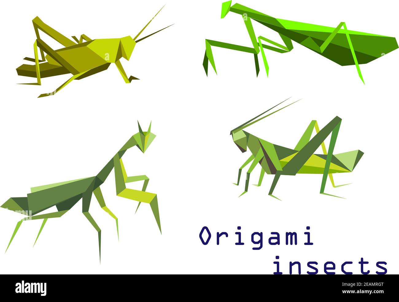 Ensemble d'insectes d'origami vert avec une sauterelle, mantis de prière, mantis et criquet, vue latérale de dessin animé coloré Illustration de Vecteur