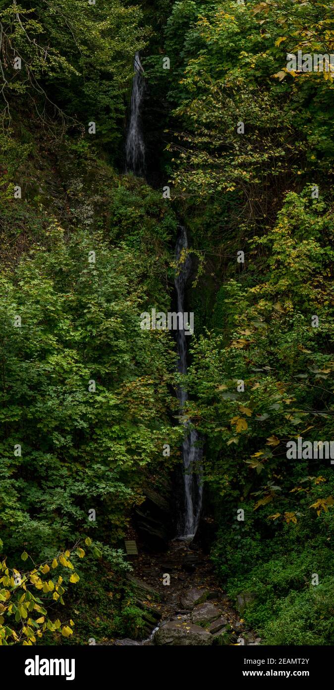 Cascade de Reinhardstein à Ovifat, Ardennes belges Banque D'Images