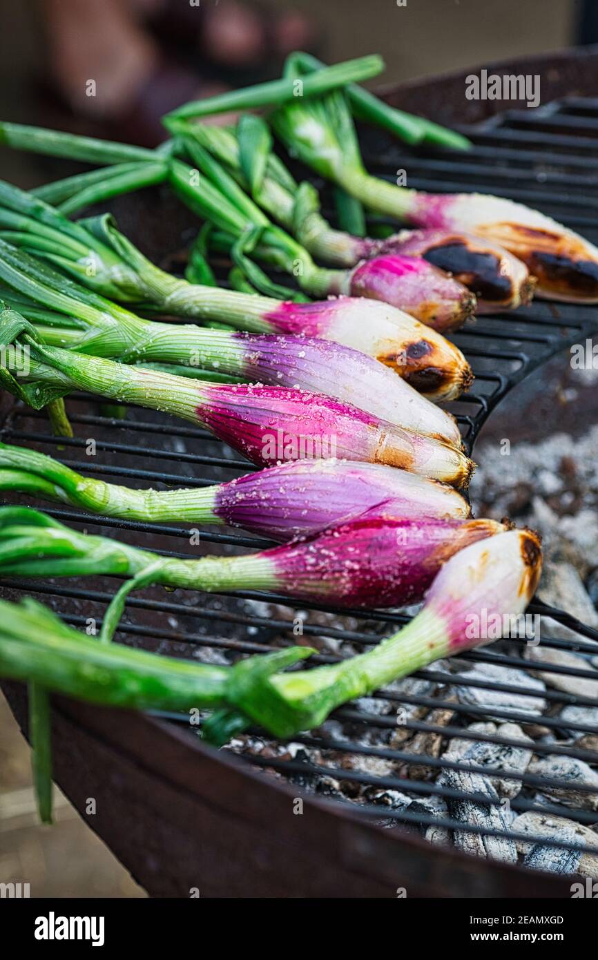 Barbecue végétarien avec oignons de printemps grillés sur charbon de bois. Légumes sur le gril à feu doux. Banque D'Images