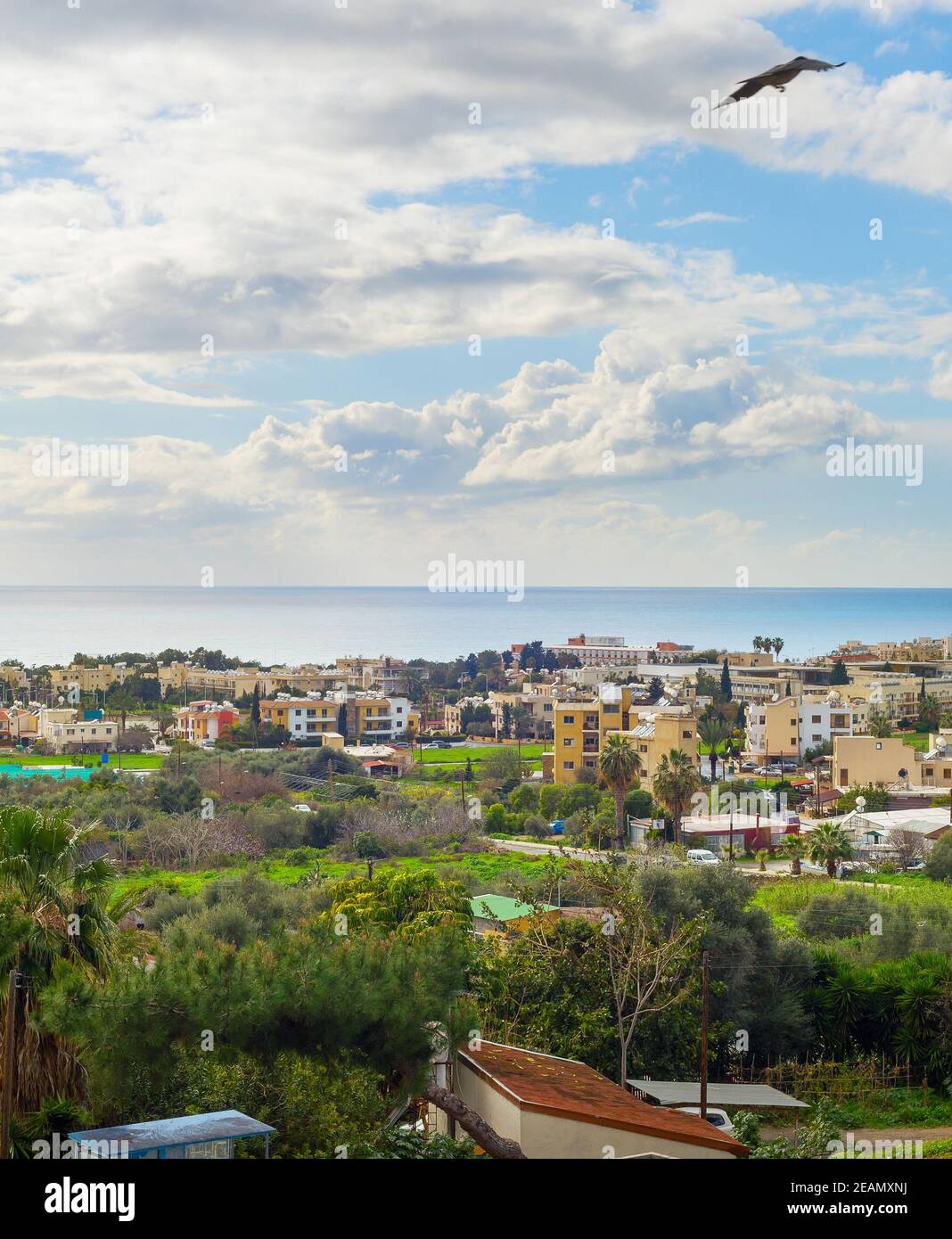 Horizon Paphos oiseau volant Chypre Banque D'Images