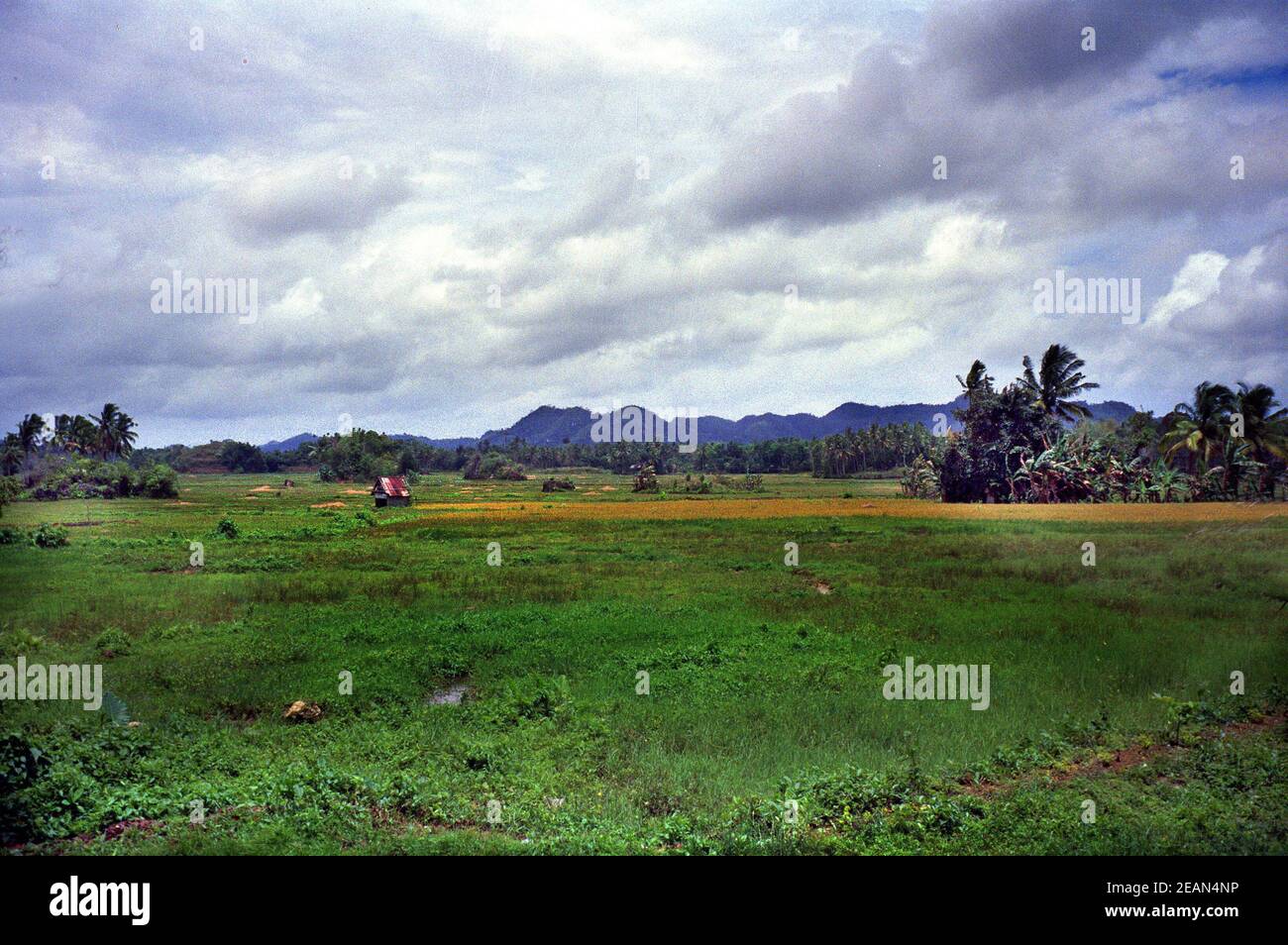 Paysage à Bilor aux Philippines Banque D'Images