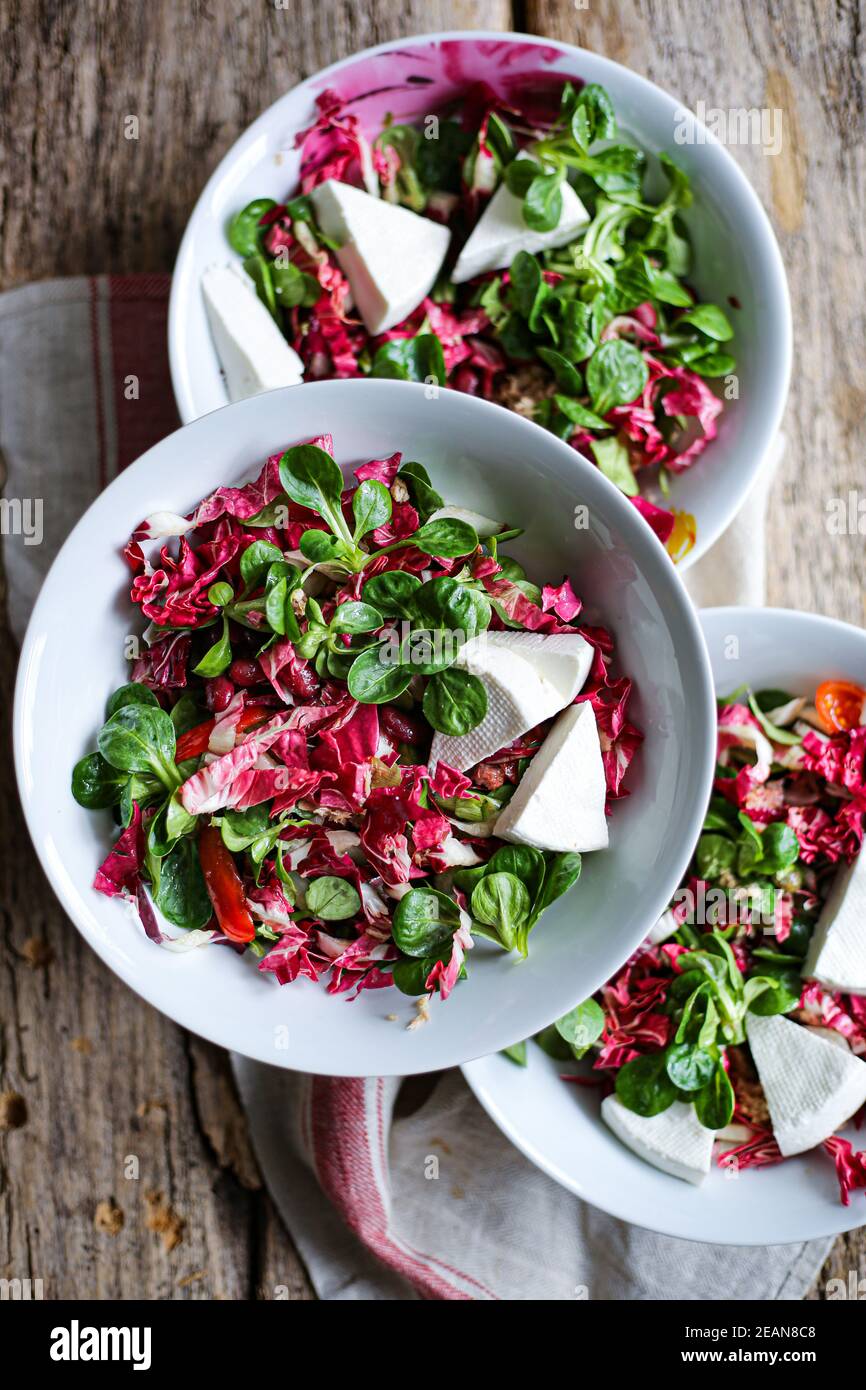 Salade radicchio et valériane Banque D'Images