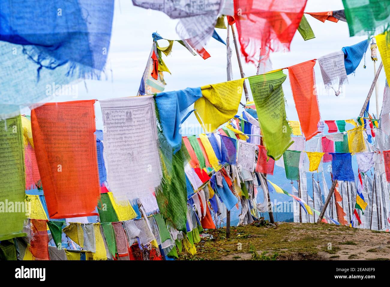 Drapeaux de prière bouddhistes, Col de Chelela, Himalaya, Bhoutan, Asie Banque D'Images