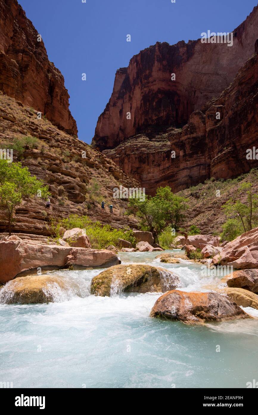 Randonneurs à Havasu Creek, parc national du Grand Canyon, site du patrimoine mondial de l'UNESCO, Arizona, États-Unis d'Amérique, Amérique du Nord Banque D'Images