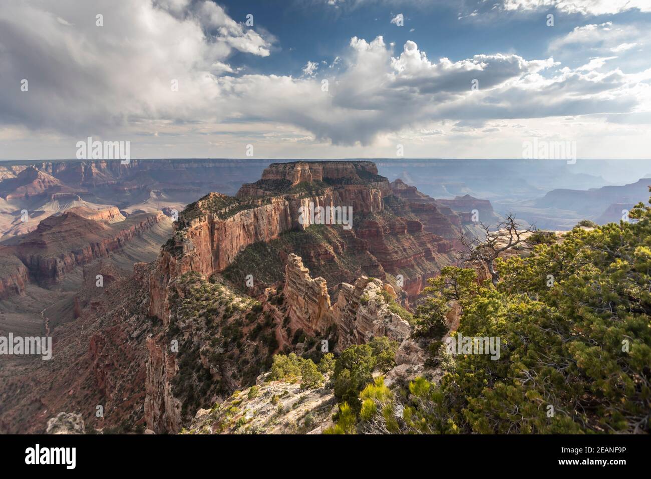 Vue depuis Cape Royal point sur la rive nord du parc national du Grand Canyon, site classé au patrimoine mondial de l'UNESCO, Arizona, États-Unis d'Amérique Banque D'Images