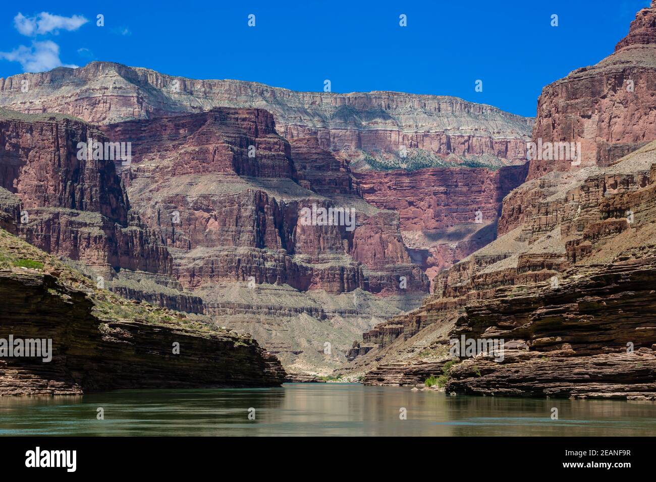 Flottant sur le fleuve Colorado, le parc national du Grand Canyon, site classé au patrimoine mondial de l'UNESCO, Arizona, États-Unis d'Amérique, Amérique du Nord Banque D'Images