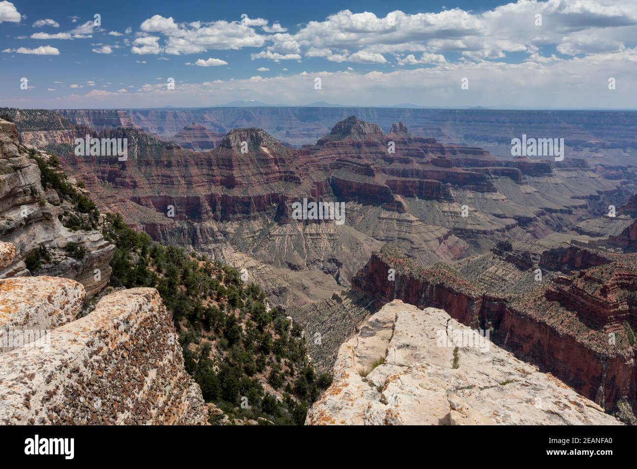 Vue sur la rive nord du parc national du Grand Canyon depuis Bright Angel point, site classé au patrimoine mondial de l'UNESCO, Arizona, États-Unis d'Amérique Banque D'Images