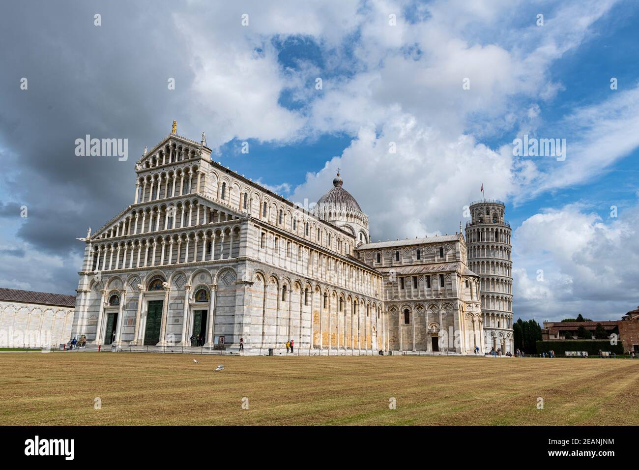 Piazza del Duomo avec cathédrale et tour penchée, site classé au patrimoine mondial de l'UNESCO, Pise, Toscane, Italie, Europe Banque D'Images