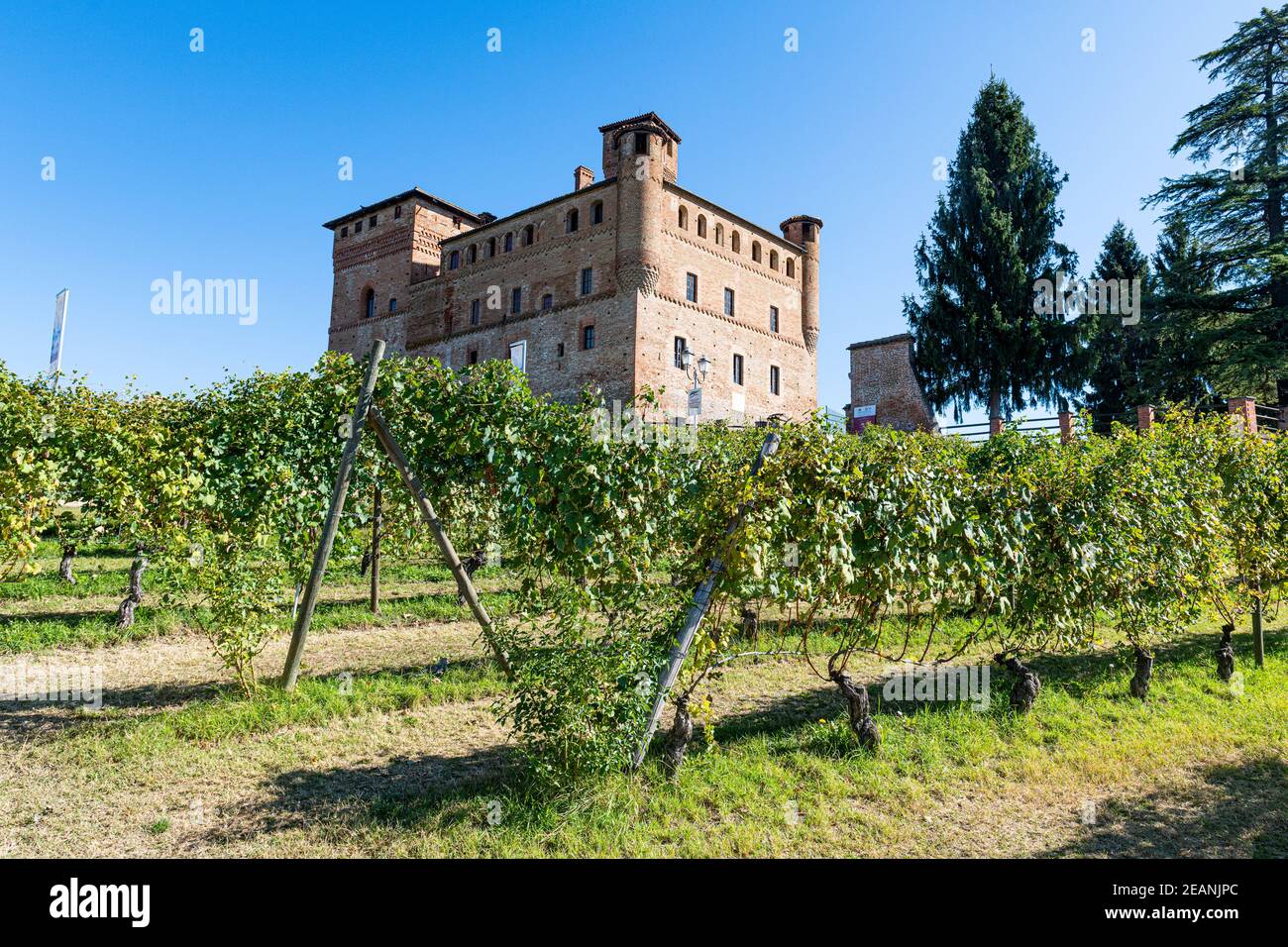 Château de Grinzane Cavour, région viticole de Barolo, site classé au patrimoine mondial de l'UNESCO, Piémont, Italie, Europe Banque D'Images