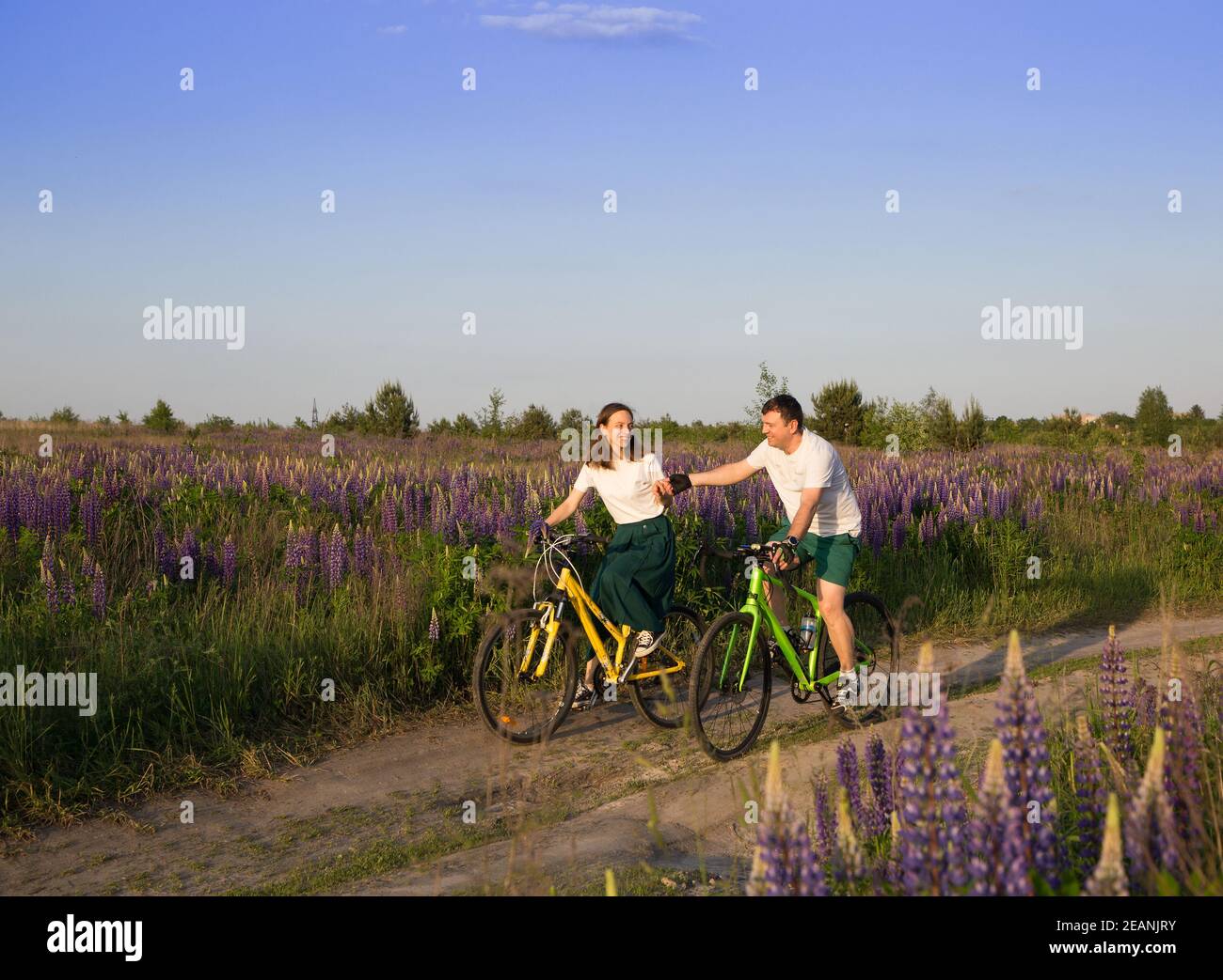 couple de femmes et d'hommes adultes à vélo entre de belles lupins sauvages avec des fleurs roses, pourpres. active style de vie concept, numérique detox. R Banque D'Images