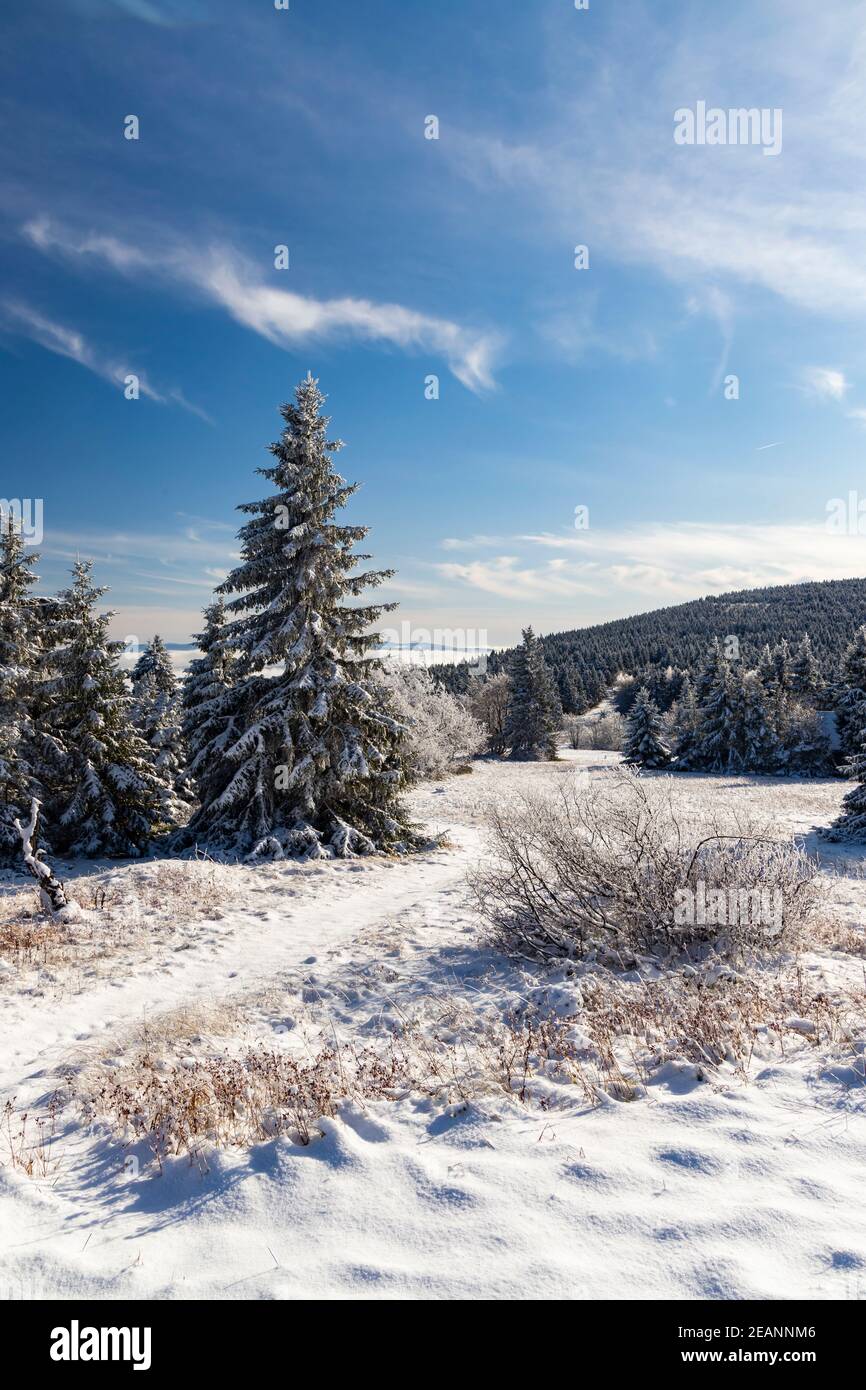 En hiver les montagnes Orlicke, République Tchèque Banque D'Images