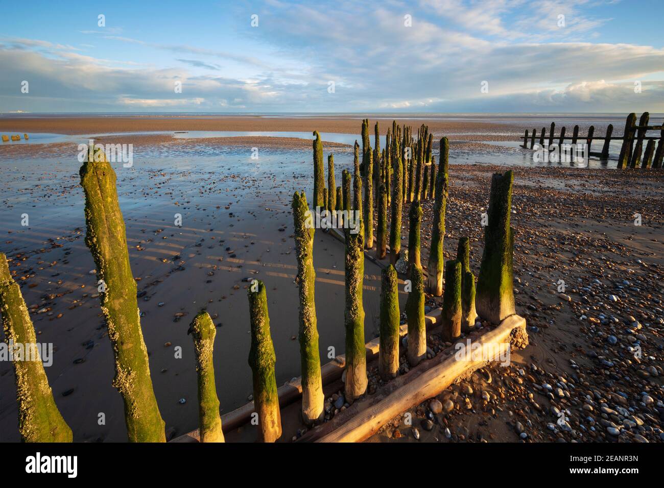 Pourriture verticale des poteaux en bois des vieilles défenses de la mer sur la plage de Winchelsea, Winchelsea, East Sussex, Angleterre, Royaume-Uni, Europe Banque D'Images