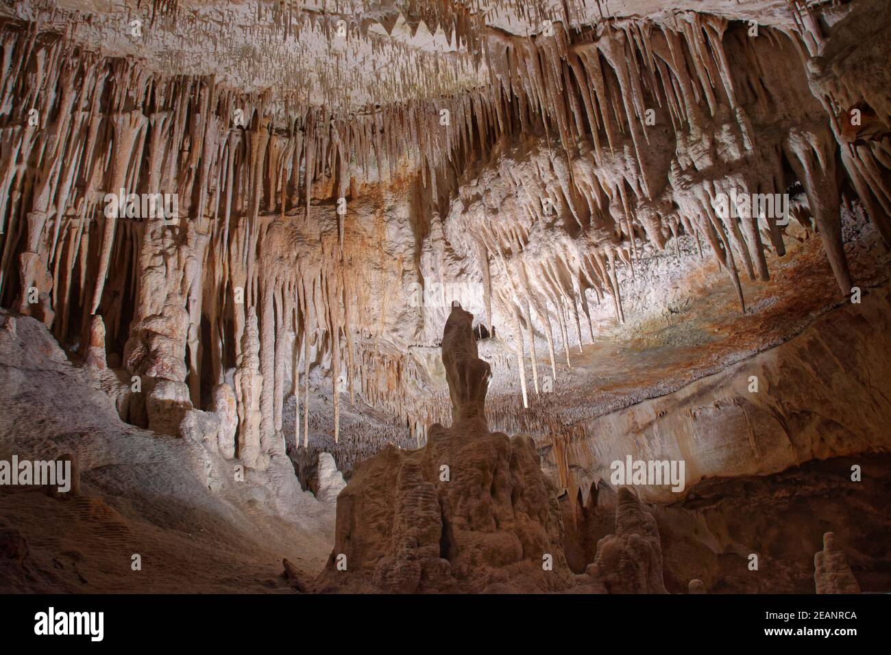 Grotte calcaire avec de nombreuses stalactites et stalagmites, grottes de Drach (Cuevas del Drach), Porto Cristo, Espagne Banque D'Images
