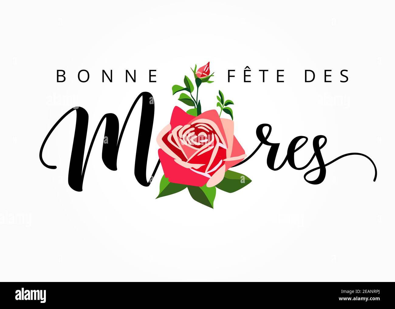 Bonjour Mai - Page 4 Bonne-fete-des-meres-bonne-tete-des-meres-elegante-banniere-lettrage-francais-dessinee-a-la-main-texte-vectoriel-de-calligraphie-et-rose-sur-blanc-pour-la-carte-de-fete-des-meres-2eanrpj