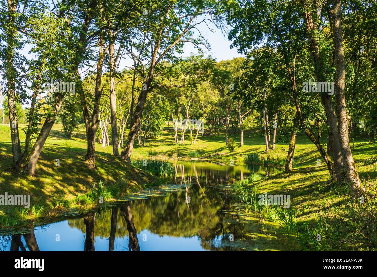 Magnifique paysage des jardins et du réservoir de Manor Park Banque D'Images