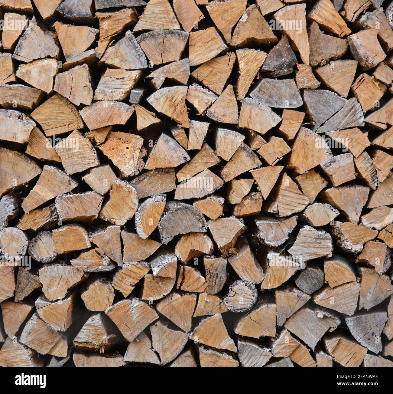 Affiche Premium Wallario - Pile De Bois Haché / Bûches - Décoration Murale Noir
