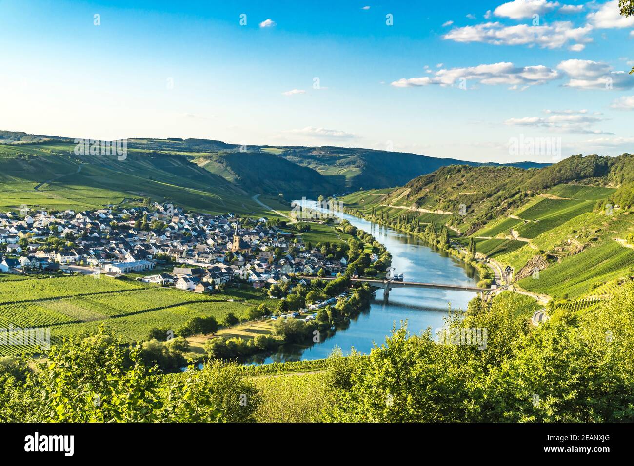 Trittenheim en Allemagne Banque D'Images