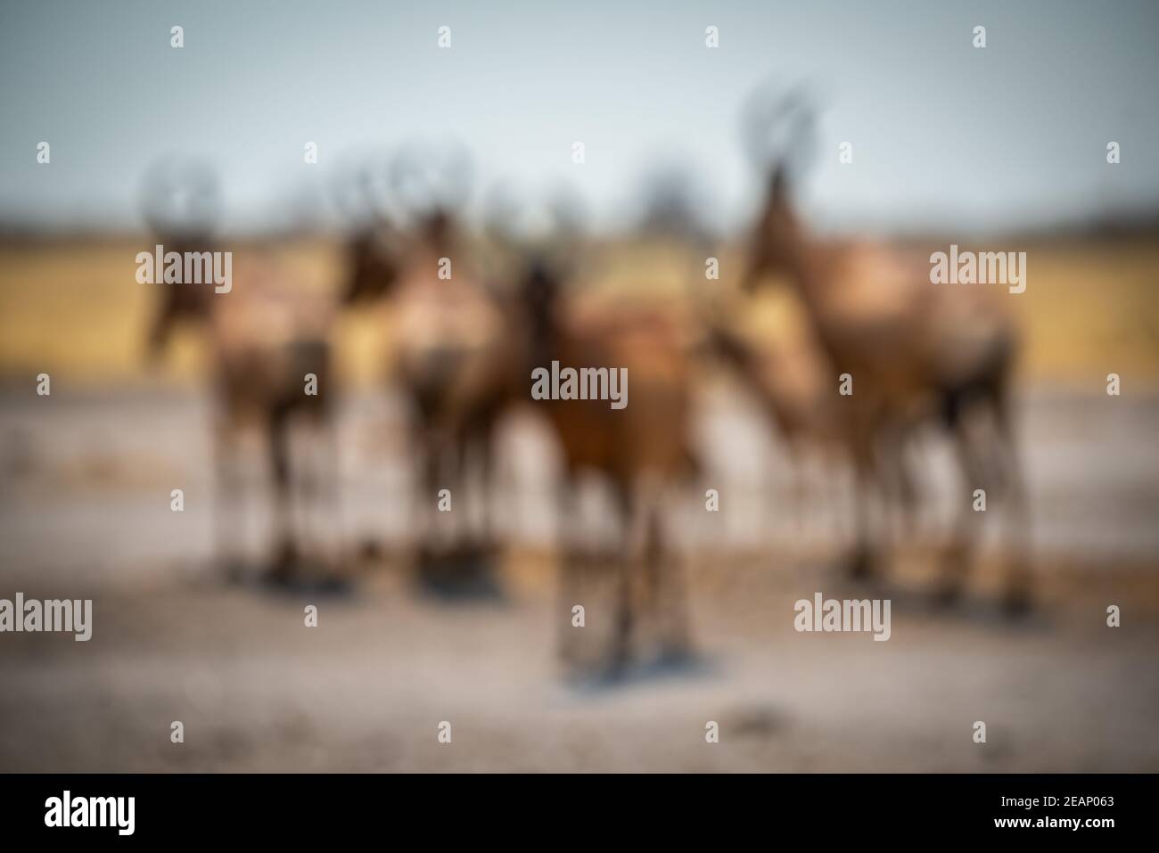 Support rouge rouge flou dans un moule à sel Banque D'Images
