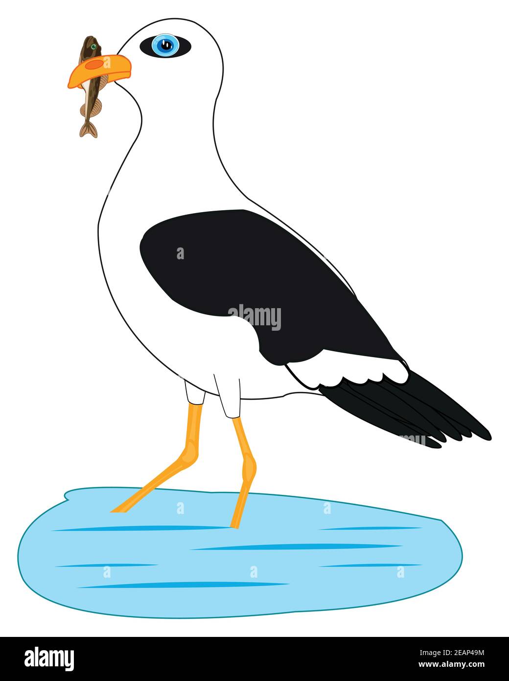 Oiseau de mer la mouette sur fond blanc est isolée Illustration de Vecteur