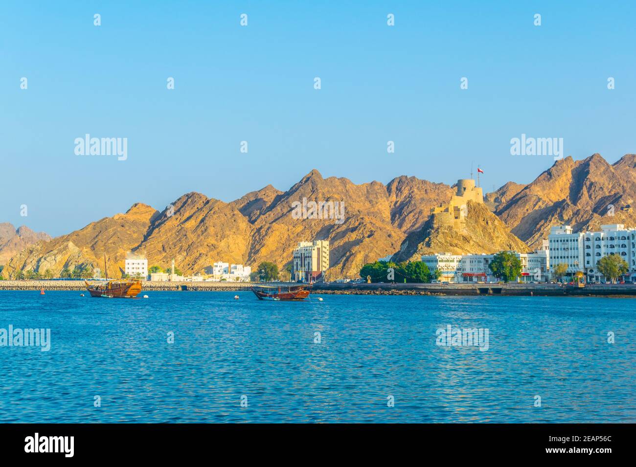 Deux dhuws - des navires arabes traditionnels - se dirigent vers la mer depuis la partie de Muttrah de Muscat dominée par un fort sur une colline, Oman. Banque D'Images
