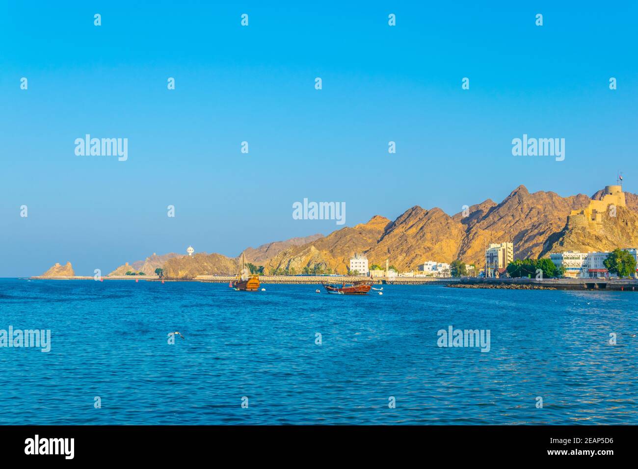 Deux dhuws - des navires arabes traditionnels - se dirigent vers la mer depuis la partie de Muttrah de Muscat dominée par un fort sur une colline, Oman. Banque D'Images