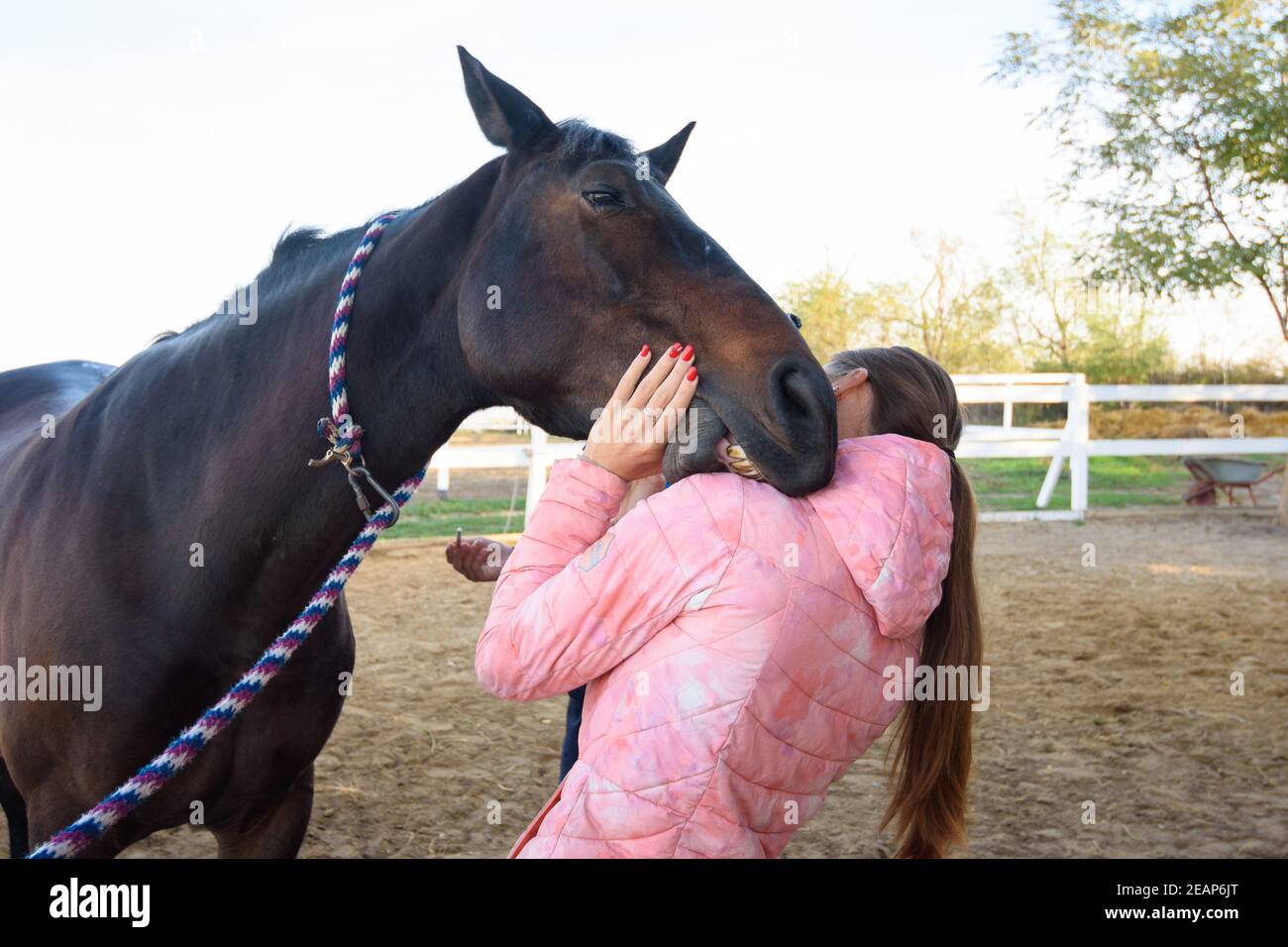 Morsure de cheval image stock. Image du despote, mignon - 78031643