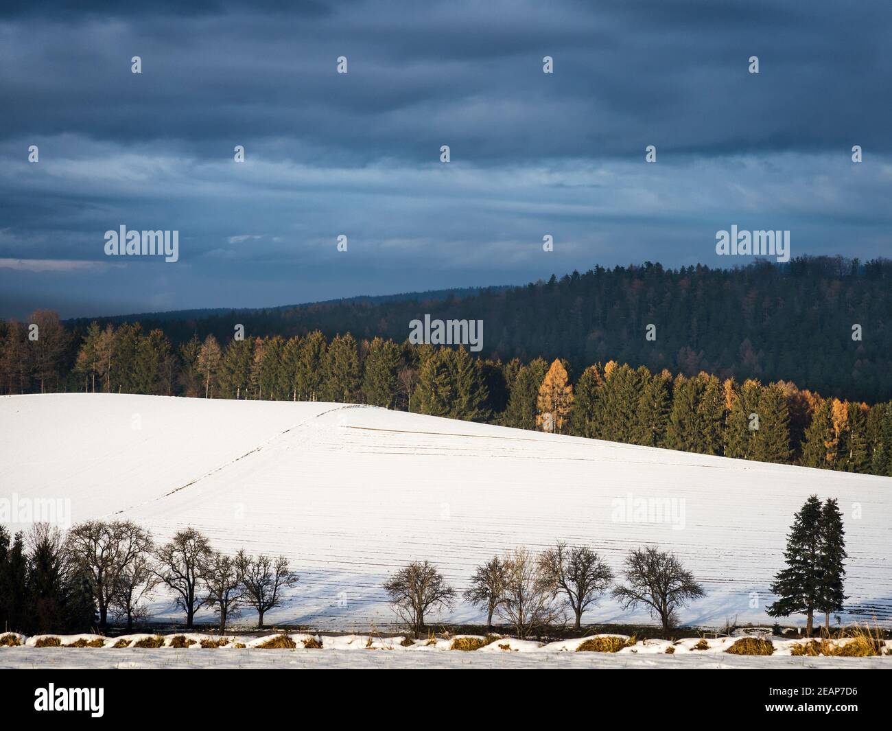 Paysage d'hiver dans les collines de la basse-autriche Banque D'Images