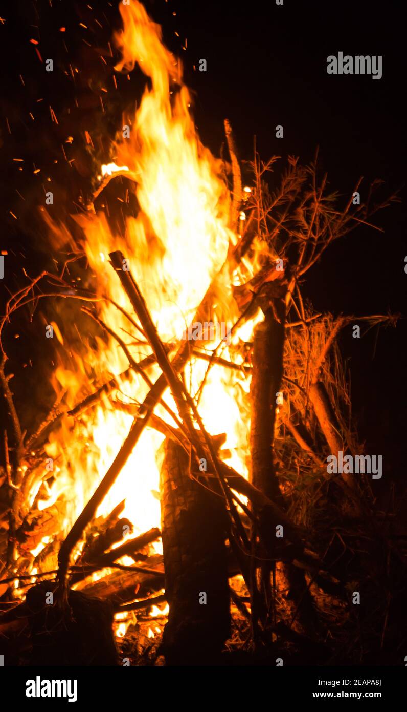 Firecamp la nuit. Foyer chaud plein de bois et feu de cheminée, à proximité Banque D'Images