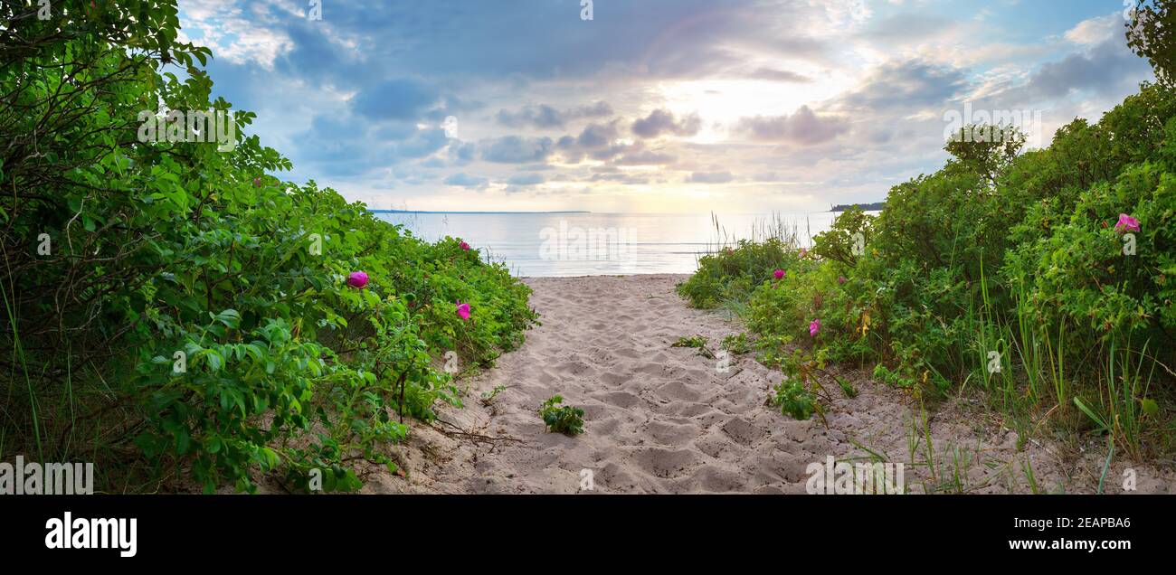 Parc naturel de Lahemaa paysage côtier avec un ciel magnifique Banque D'Images