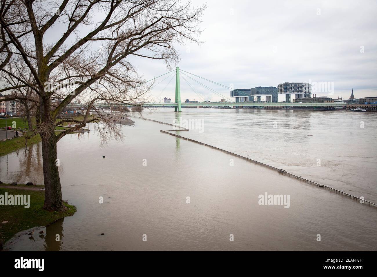 Inondation du Rhin le 5 février. 2021, vue sur la rive inondée dans le district de Deutz jusqu'au pont Severins et au port de Rheinau avec t Banque D'Images