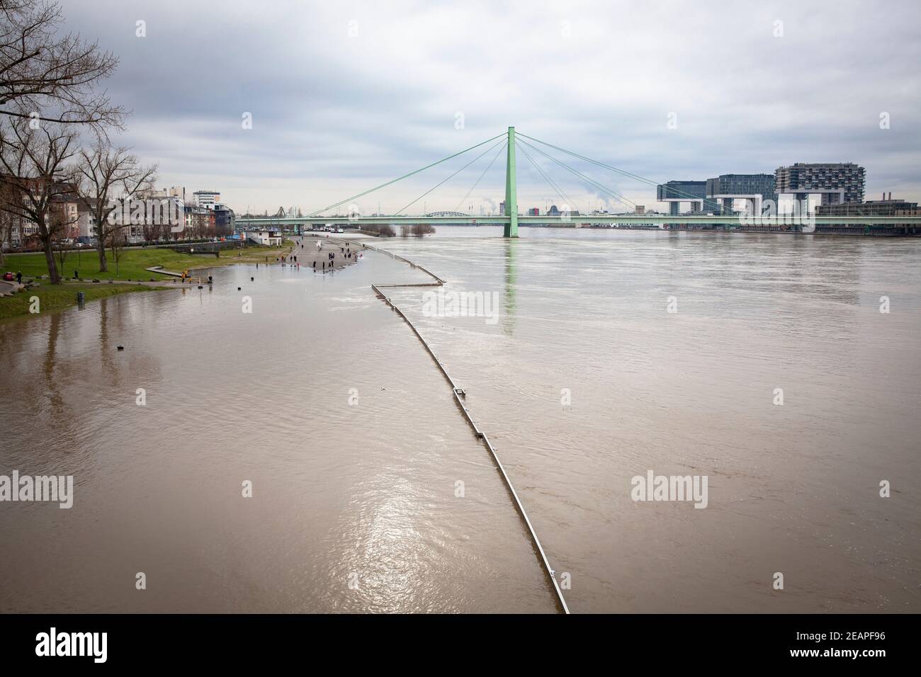 Inondation du Rhin le 5 février. 2021, vue sur la rive inondée dans le district de Deutz jusqu'au pont Severins et au port de Rheinau avec t Banque D'Images