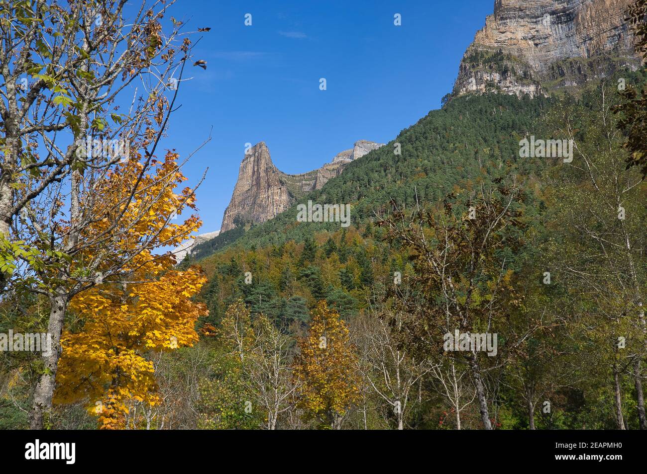 Montaña de Ordesa y Monte Perdido Parc National en face des arbres au coucher du soleil, dans les Pyrénées aragonaises, situé à Huesca, Espagne. Vue Banque D'Images