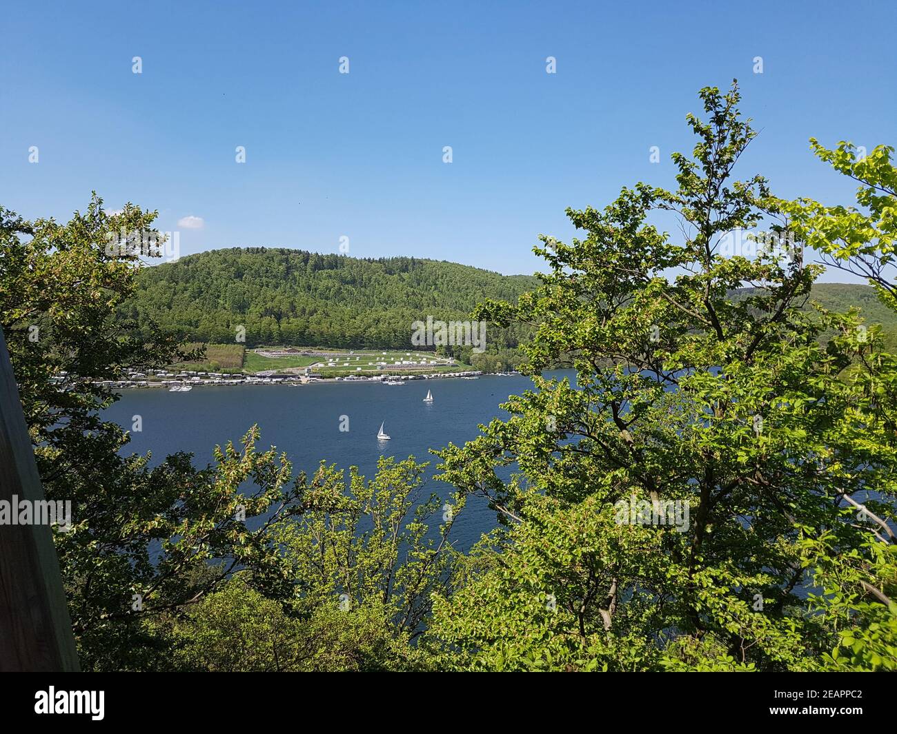 Baumkronenweg, Hessen, Buchenwald, Nationalpark, Kellerwald Banque D'Images