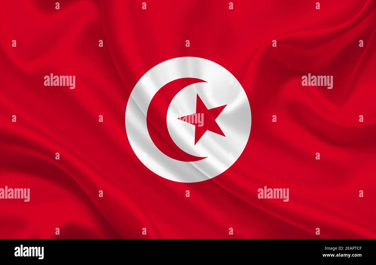 Drapeau de la Tunisie sur toile ondulée toile de fond panorama Banque D'Images