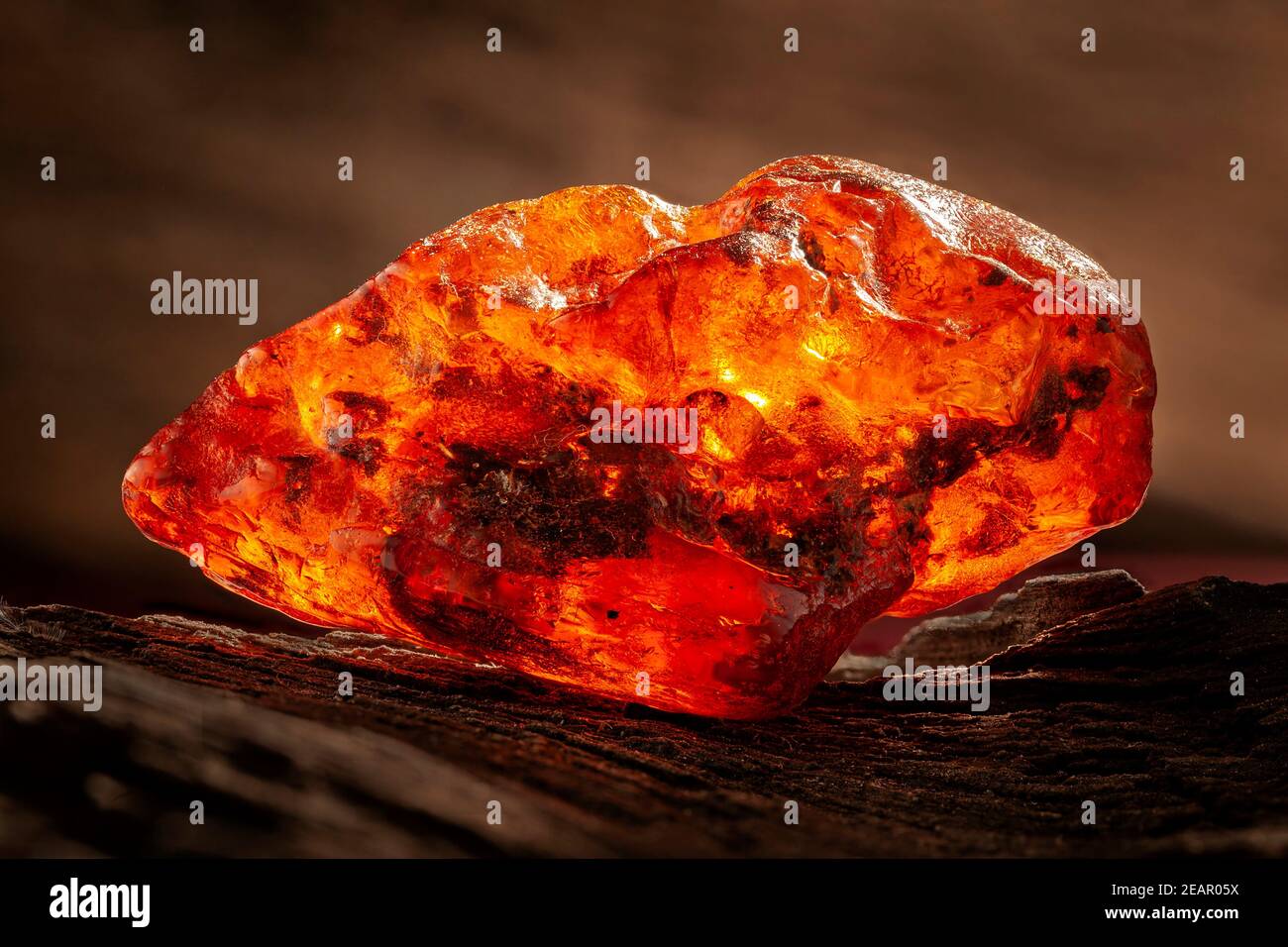 Beauté de l'ambre naturel brut. Un morceau de jaune-rouge transparent d'ambre naturel sur un morceau de bois lapidé Banque D'Images