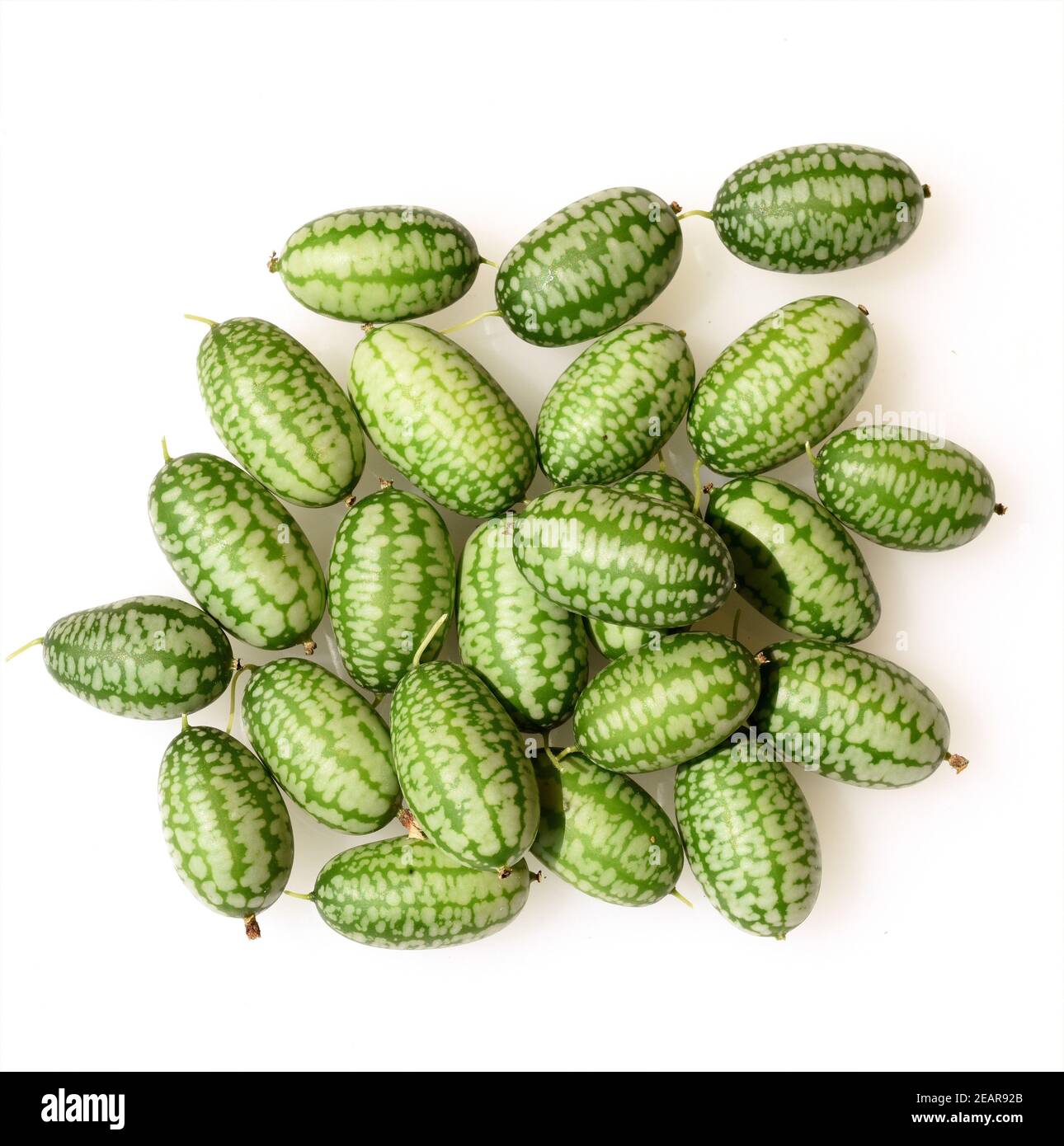 10 Graines Cucamelon (Melothria Scabra) - Mini Concombre Acidulé, Plante Grimpante Originale