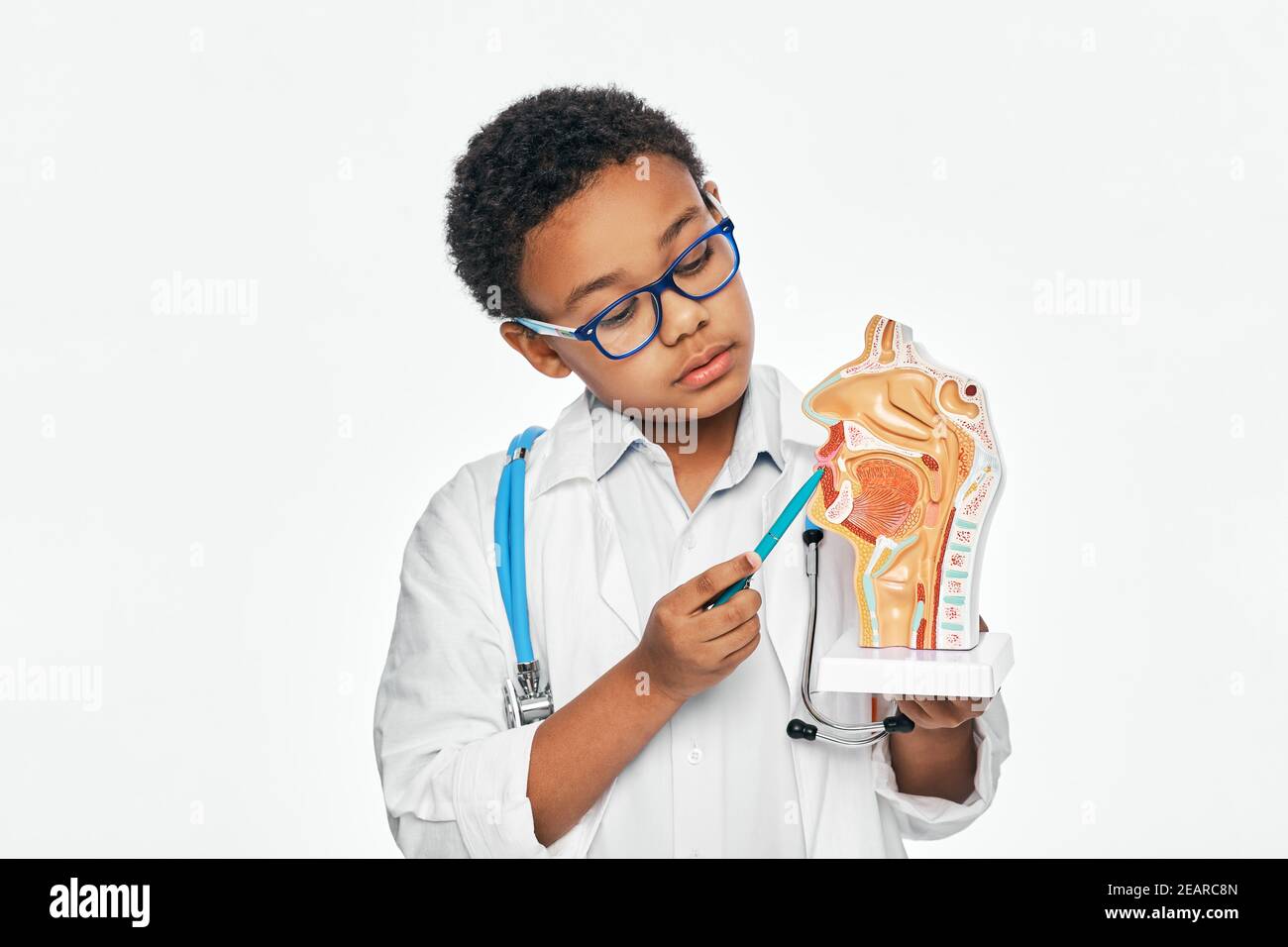 Garçon portant le manteau du médecin pointant le stylo dans la cavité buccale anatomique modèle Banque D'Images