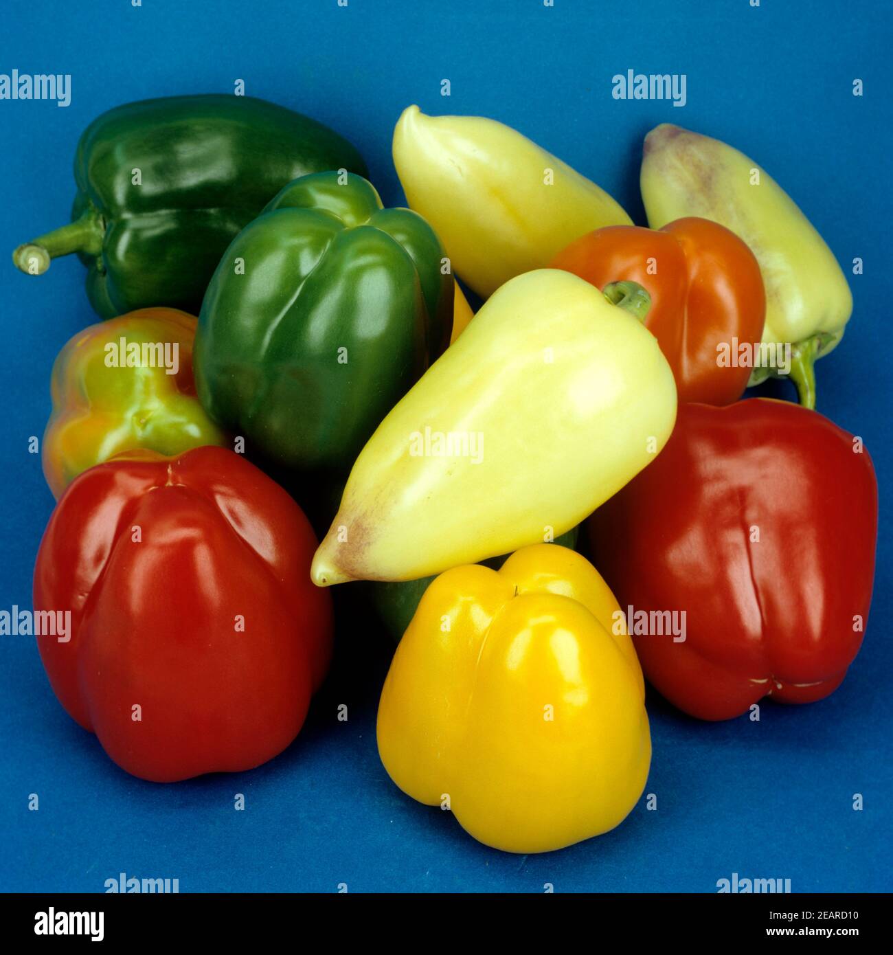 Paprika capsicum annuum Banque de photographies et d’images à haute ...