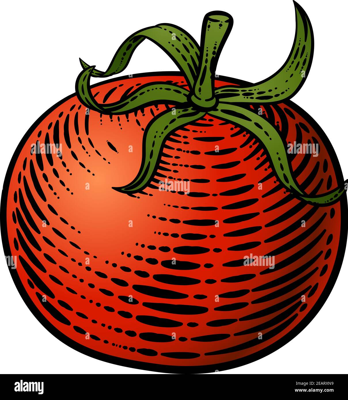 Illustration de la coupe de bois Vintage de légumes de tomate Illustration de Vecteur