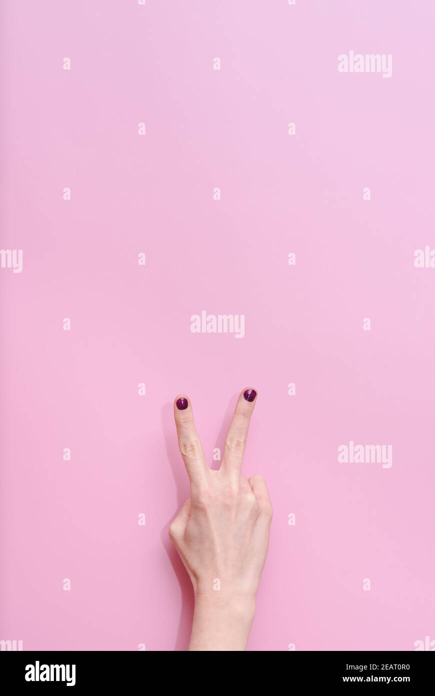 mains d'une femme blanche de race blanche montrant les doigts à compter deux sur fond rose Banque D'Images