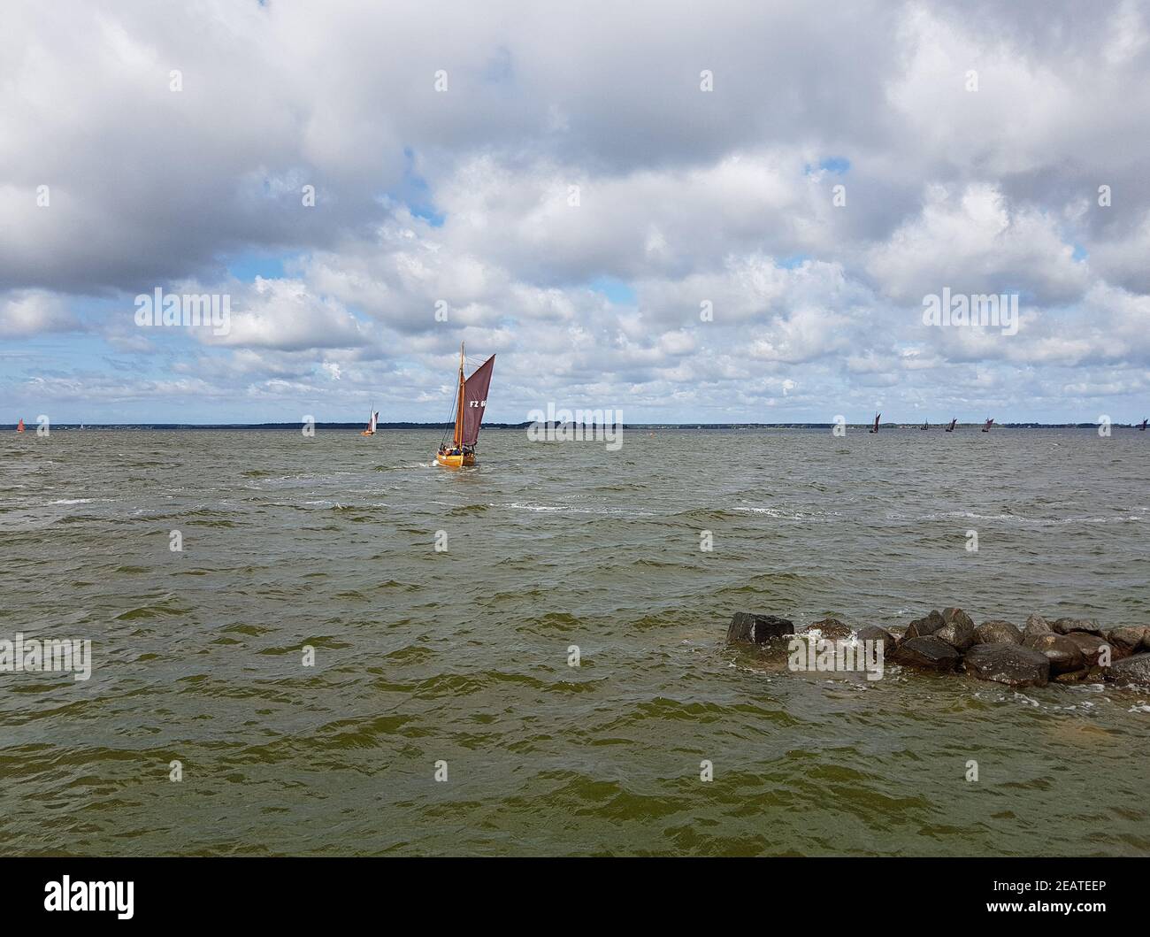 Zeesboot, Segelboot, Boddenlandschaft Banque D'Images